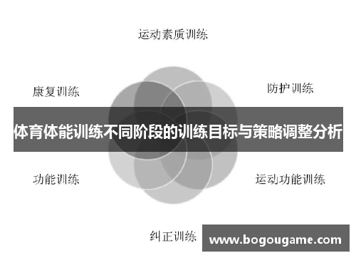 体育体能训练不同阶段的训练目标与策略调整分析