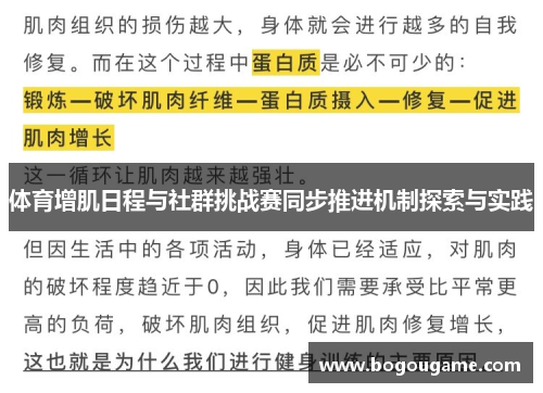 体育增肌日程与社群挑战赛同步推进机制探索与实践